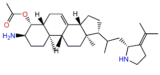 Plakinamine O